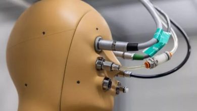 ANDI؛ نخستین ربات دارای توانایی «تنفس، تعریق و لرزش»