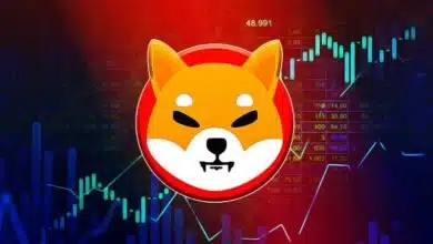 آیا شیبا اینو می‌تواند از سطح تقاضای کلیدی بازگردد؟