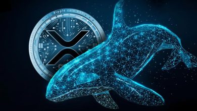 اتفاقی عجیب در بازار: جابه‌جایی صدها میلیون XRP بین ریپل، نهنگ‌ها و صرافی‌ها!