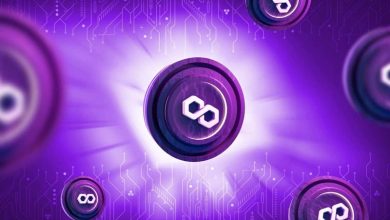 ادغام پالگیان با USDC؛ تأثیر آن بر قیمت متیک چگونه خواهد بود؟