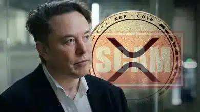 افزایش کلاهبرداری‌های رمزارزی در X؛ ایلان ماسک چه گناهی دارد؟