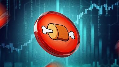 افزایش ۵۰ درصدی تعداد میلیونرهای توکن BONE شیبا به لطف شیباریوم!