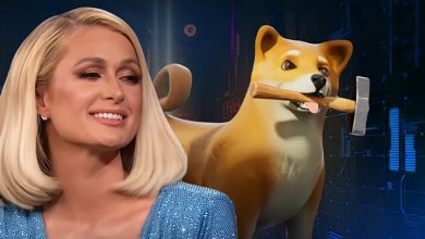 انتشار یک مجموعه NFT، خالق شیبا را مجبور به واکنش کرد!