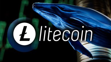 انتقال ۳۰ میلیون دلاری لایت کوین توسط یک نهنگ، ریزش قیمت در راه است؟