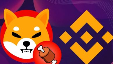 به‌روزرسانی بزرگ توکن BONE شیبا انجام شد! لیست شدن در بایننس به زودی؟