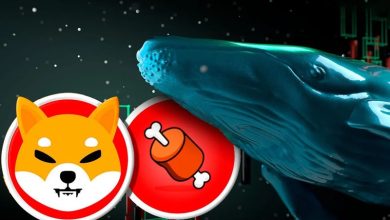 بیدار شدن نهنگ خفته و سرمایه‌گذاری سنگین در توکن BONE شیبا! قرار است اتفاقی بیفتد؟