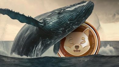 تریلیونر مرموز شیبا اینو با ثروت خود خبرساز شد!