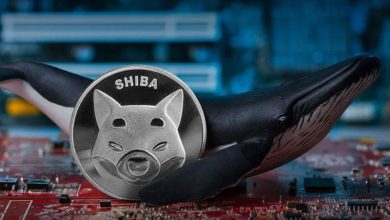 جولان نهنگ‌های مرموز در بازار شیبا اینو! خبرهایی در راه است؟