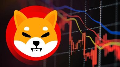 خبر بد برای طرفداران شیبا اینو: ۹۰ درصد دارندگان در ضرر هستند!