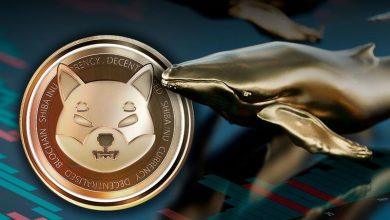 خرید و فروش ده‌ها میلیارد شیبا تنها در دو ساعت؛ شیباریوم نهنگ‌ها را به بازار کشانده است!