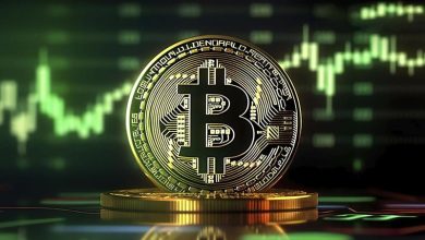 دامیننس بیت کوین به ۵۰ درصد رسید! احتمال ریزش بیشتر آلت کوین‌ها وجود دارد؟