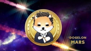 دوج الون مارس، بحث داغ بازار ارزهای دیجیتال! علت افزایش محبوبیت این میم کوین چیست؟