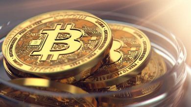 رکورد جدید: عرضه بیت‌ کوین‌ در آدرس‌های غیرفعال به بالاترین سطح خود‌ رسید!