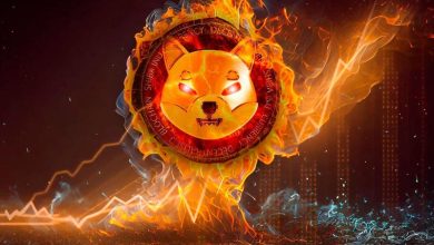 شیبا اینو هفته را با خبرهای مثبت شروع کرد؛ افزایش ۳۳۰ درصدی نرخ توکن‌سوزی!