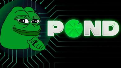 ظهور یک رقیب تازه برای پپه؛ نهنگ‌ها پشت PEPE را خالی کردند!