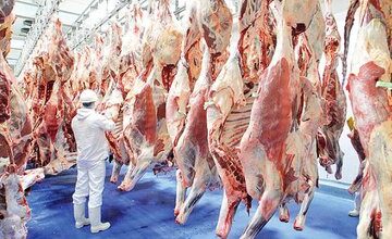 قیمت رسمی گوشت اعلام شد/ امرالهی: قیمت گوشت را بالاتر از این عدد دیدید، تخلف است