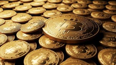 لیست ۱۰ دارنده بزرگ بیت کوین در جهان منتشر شد!