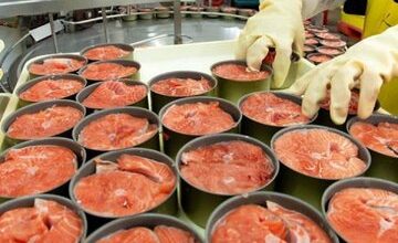 ماهی تن با دور زدن تحریم‌ها وارد کشور می‌شود!