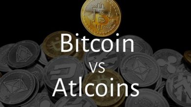 معاملهگران این آلت کوینها را به بیت کوین ترجیح میدهند!