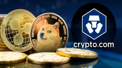 مقصد جدید ریپل و دوج کوین آیا موجب افزایش قیمت خواهد شد؟