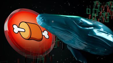 نهنگ‌های بزرگ سر از بازار توکن BONE شیبا در آوردند! افزایش قیمت در راه است؟