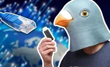 وقتی کبوتر نامه‌رسان از اینترنت سریع‌تر است!