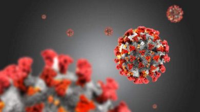 پیرولا؛ سویه جدید کرونا چه نشانه‌هایی دارد؟