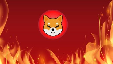 چرا شیبا اینو امروز ۵۰ درصد کاهش یافته است؟