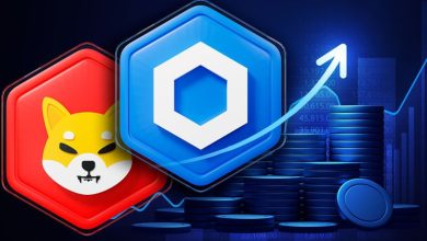 چین لینک جایگاه شیبا را تصاحب کرد؛ SHIB از جمع برترین‌های بازار خارج می‌شود؟