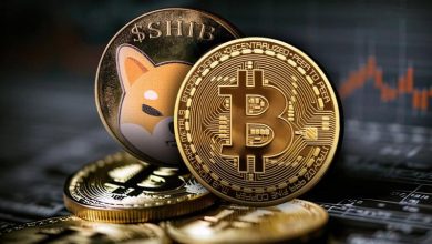 کاهش همبستگی شیبا و بیت کوین به پایین‌ترین سطح ۳۰ روزه! SHIB به کدام سمت حرکت می‌کند؟