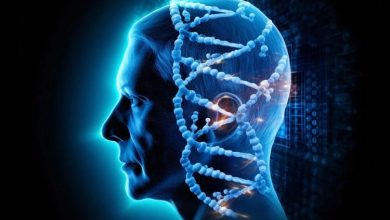 یکپنجم افراد ژنی دارند که در برابر آلزایمر و پارکینسون مقاوم است