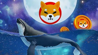 ۲ خبر جذاب برای طرفداران شیبا اینو! قیمت چه واکنشی داشت؟