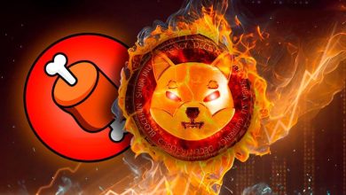 ۲ خبر خوب برای طرفداران شیبا اینو!