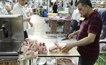 آخرین قیمت گوشت مرغ در بازار /مدیرعامل اتحادیه مرغداران: کمبودی در بازار نداریم