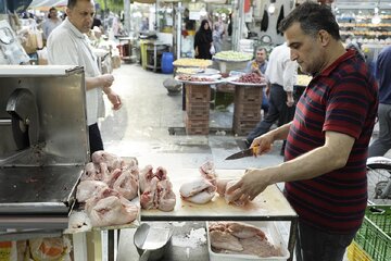 آخرین قیمت گوشت مرغ در بازار /مدیرعامل اتحادیه مرغداران: کمبودی در بازار نداریم