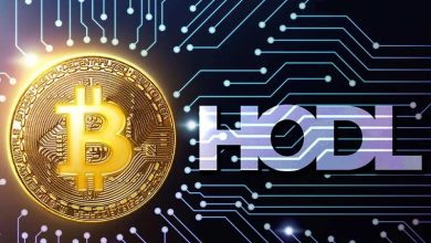 ارزهای دیجیتال انتخابی معامله‌گران برای سرمایه‌گذاری بلندمدت کدام‌اند؟