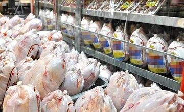 اظهارنظر رییس اتحادیه مرغداران درباره قیمت تخممرغ/ عرضه پایینتر از نرخ مصوب