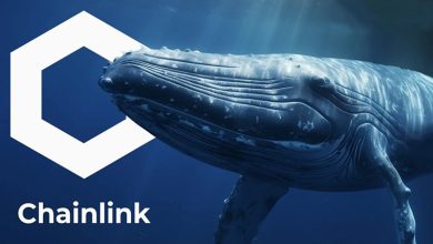 انباشت میلیون‌ها چین لینک توسط نهنگ‌ها؛ آیا LINK می‌تواند رکورد سالانه جدیدی ثبت کند؟