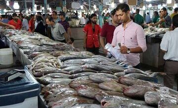 انواع ماهی چند شد؟/ یک کیلو حلوا سفید یک میلیون و ۶۰۰ هزار تومان / جدیدترین قیمت قزل‌آلا و سالمون را ببینید