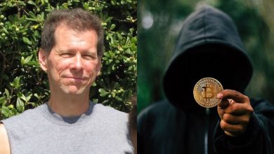 بررسی شواهد جدید: چرا هال فینی نمی‌تواند ساتوشی ناکاموتو باشد؟