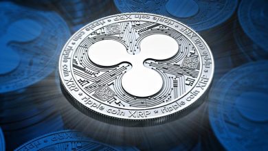 توجه ویژه سازمان‌ها به ریپل؛ جذب سرمایه توسط XRP برای بیست‌وپنجمین هفته متوالی!