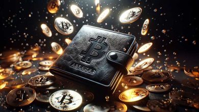 جابهجایی هزاران بیت کوین سرقتی از دارکنت بدنام! انگیزه کلاهبردار از این کار چیست؟