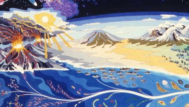 حیات روی زمین ممکن است ۲۵۰ میلیون سال دیگر از بین برود