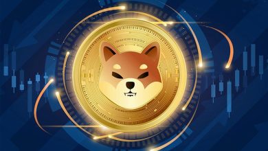 رستوران بزرگ شیبا اینو به زودی افتتاح می‌شود!‌