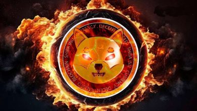 رشد ۵۶۷ درصدی شیباسوزی! برای افزایش بیشتر قیمت SHIB آماده شویم؟