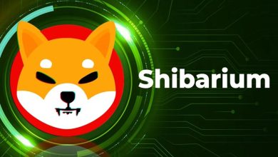 رکورد جدید شیباریوم! منتظر رالی صعودی BONE باشیم؟