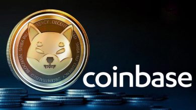 سایه فشار فروش بر سر شیبا اینو؛ رالی بهبود SHIB متوقف میشود؟