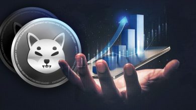 شیبا اینو حمایت کلیدی خود را پس گرفت! SHIB دوباره سودآور می‌شود؟