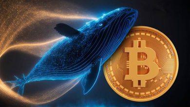 صعود و سقوط اخیر قیمت بیت کوین زیر سر نهنگها است!