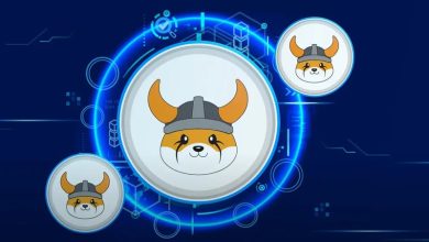 عرض اندام دوباره فلوکی در بازار؛ خبرهای خوبی برای دارندگان FLOKI در راه است!